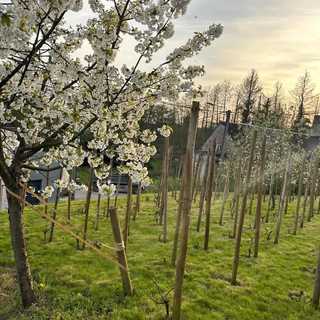 Tatil Evi Le Du Faubourg Sautour