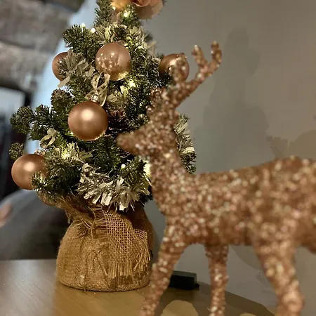 Vakantiehuis Le Du Faubourg Sautour